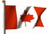 Canadian Masterpoint Leaders